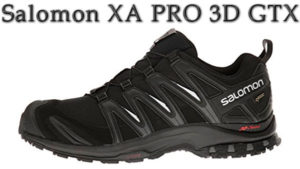 Salomon XA PRO 3D GTX