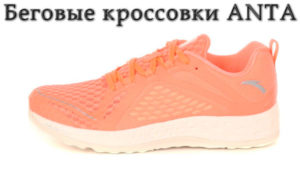 ANTA