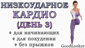 Низкоударная кардио-тренировка без прыжков