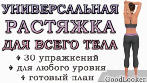 Универсальная растяжка для всего тела