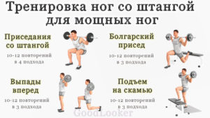 План упражнений для ног со штангой