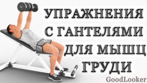 Топ лучших упражнений для мышц груди с гантелями для мужчин и женщин