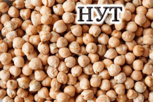 Бобовые продукты на правильном питании: польза, особенности, виды