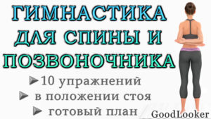 Гимнастика для позвоночника стоя: 10 простых упражнений на спину для каждого