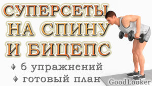 Силовая тренировка на спину и бицепс с гантелями