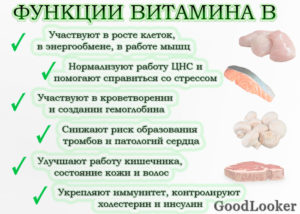 Функции витаминов группы B