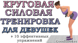 Круговая силовая фулбоди-тренировка с гантелями для начального и среднего уровня (для девушек)