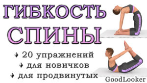 Упражнения для гибкости спины