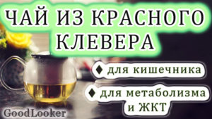 Чай из красного клевера