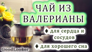 Чай из валерианы