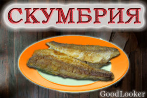 Скумбрия